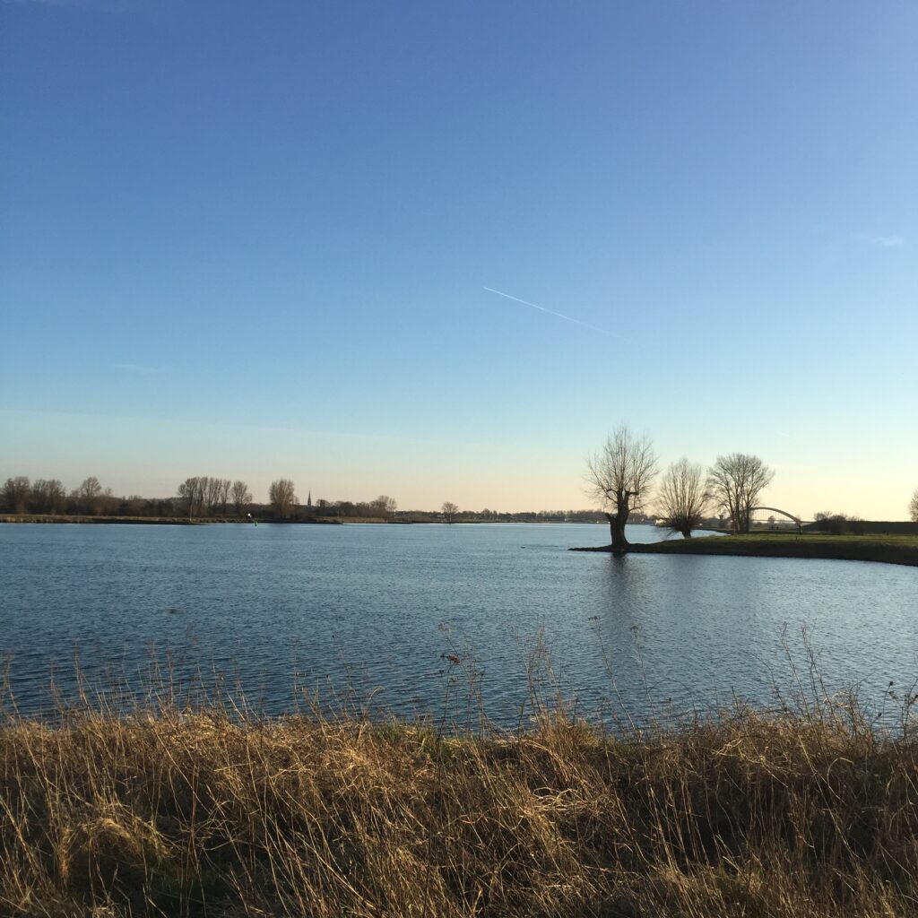 Water in de uiterwaarden met knotwilgen in de winterzon