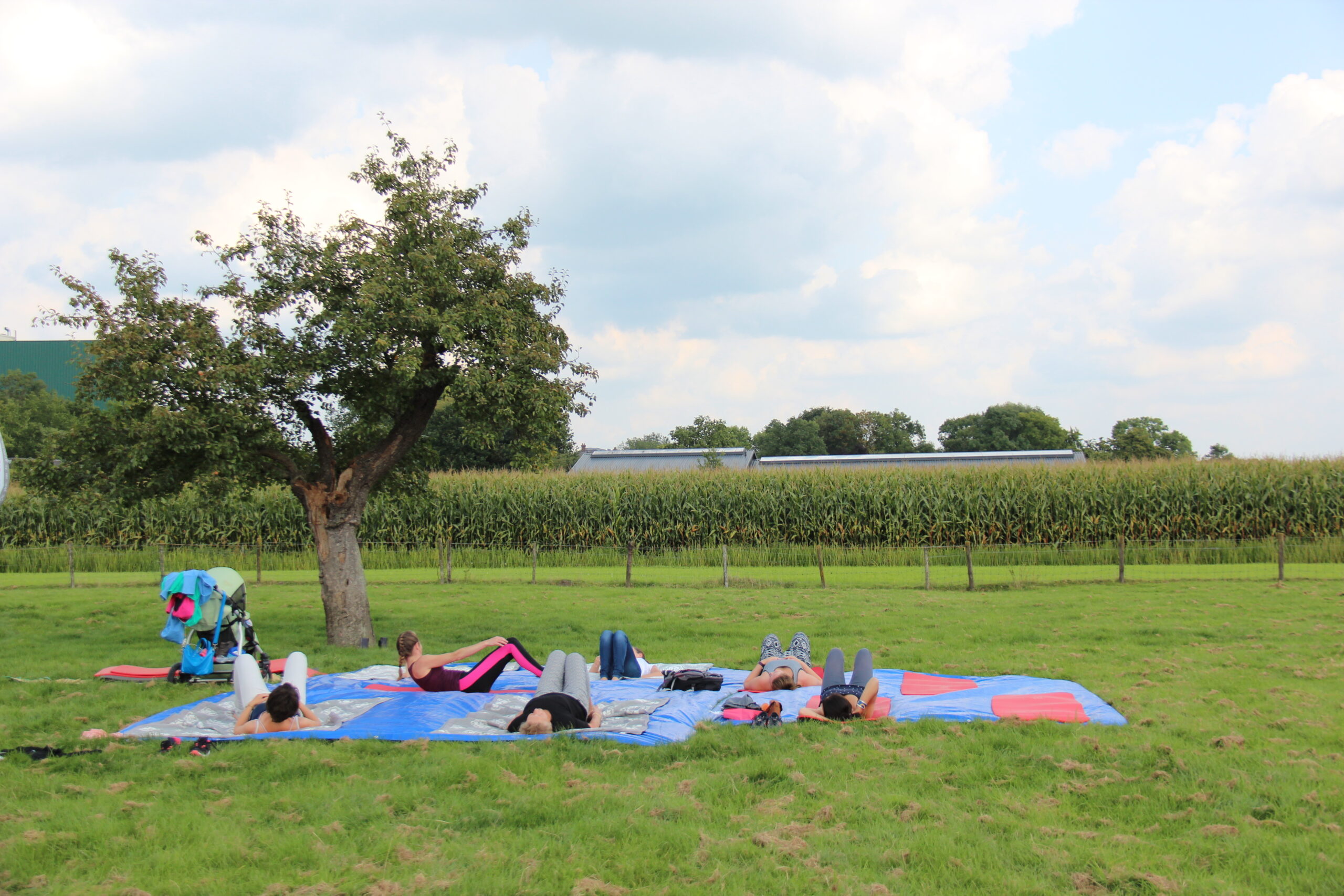Picknick op kleden in het gras naast de boomgaard van Boerderij de Zalm