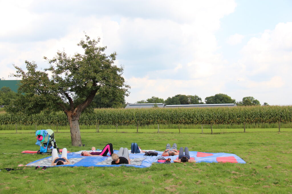 Picknickkleden onder een fruitboom in de boomgaard